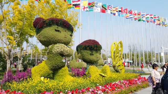 北京世界园艺博览会到处奇花异草,还有各种花草做的造型美不胜收