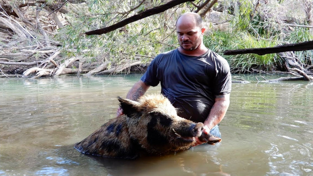 带着猎狗狩猎野猪,湍急的河水把野猪活活淹死,这场面也太刺激了