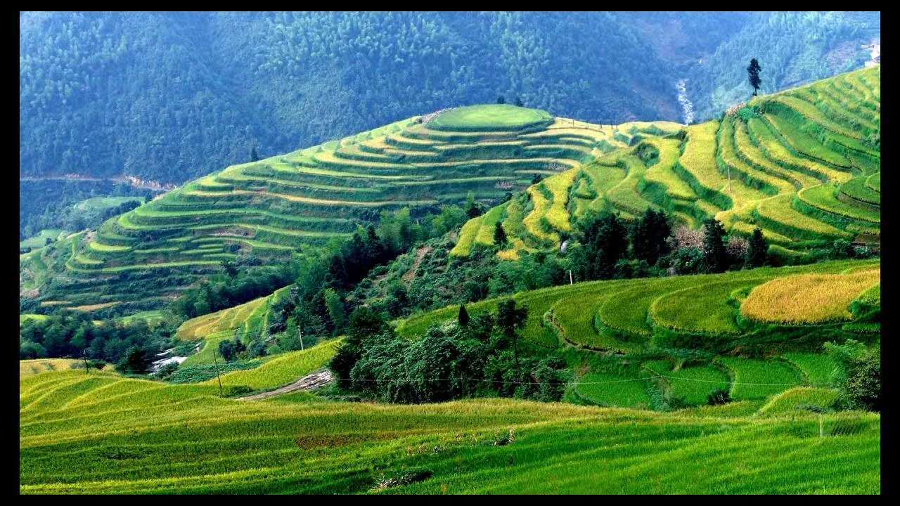 山背梯田__凤凰网