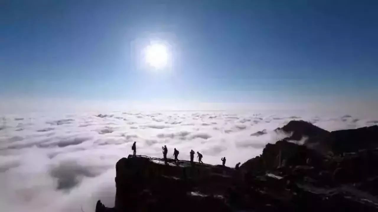 要去山顶-半山腰太挤-抖音超火的网红励志句子 (要去山顶看看)