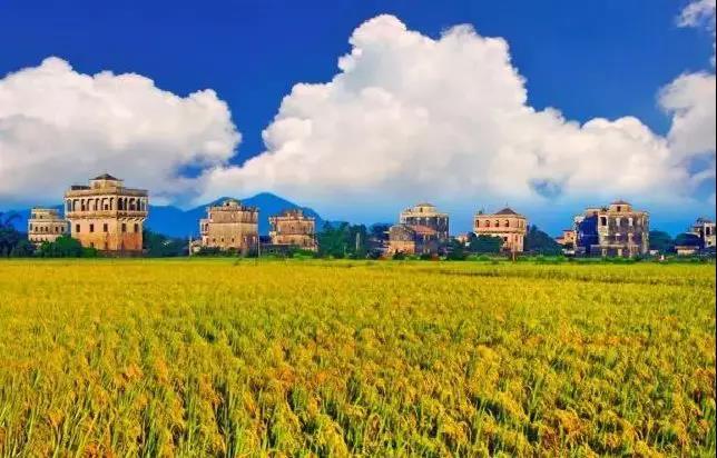 精品线路规划,"划"出乡村振兴"新时代" ——记台山市斗山镇美丽乡村