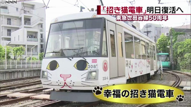 日本超人气招财猫列车复活了,可爱死了,猫奴必座