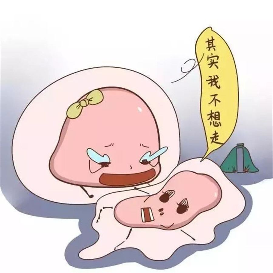 试管婴儿卵子受精失败,什么原因阻挡了你的好孕之路__凤凰网