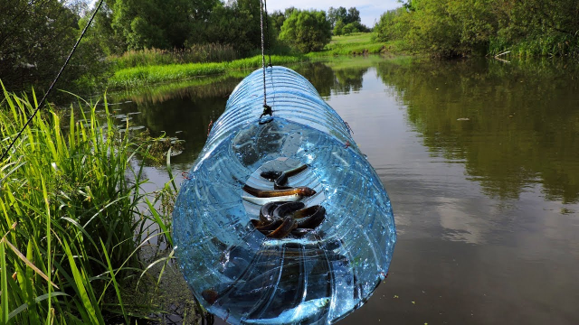 塑料瓶捕鱼器制作方法图片
