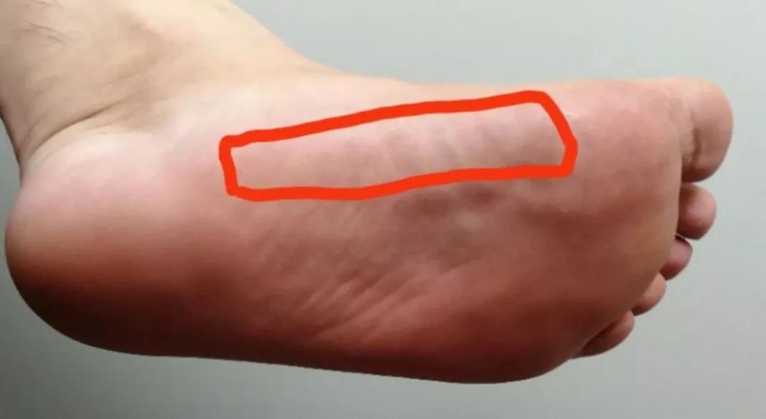 揉软地筋能放松全身坚持每天睡前揉15分钟濡养肝脏