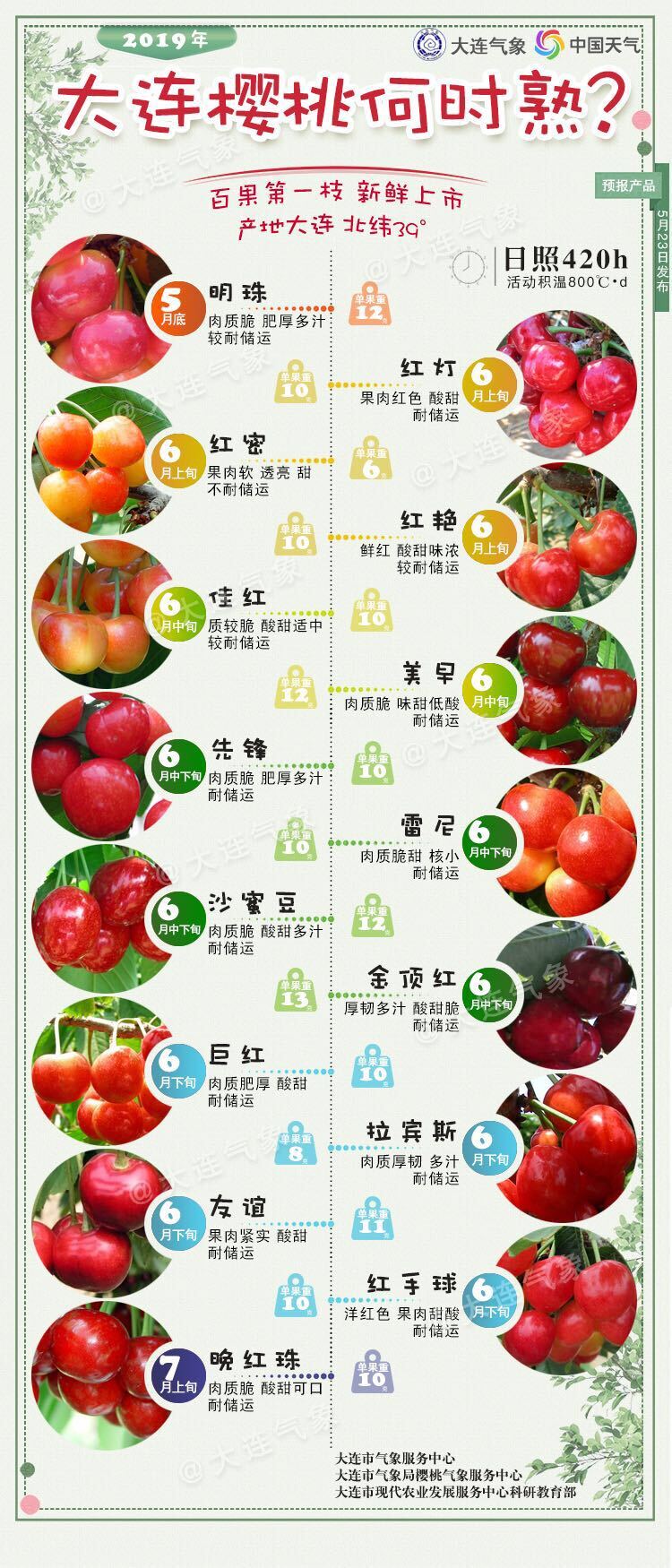 因花芽萌动至开花期热量条件较好,大樱桃花期在4月15~25日,比去年略早