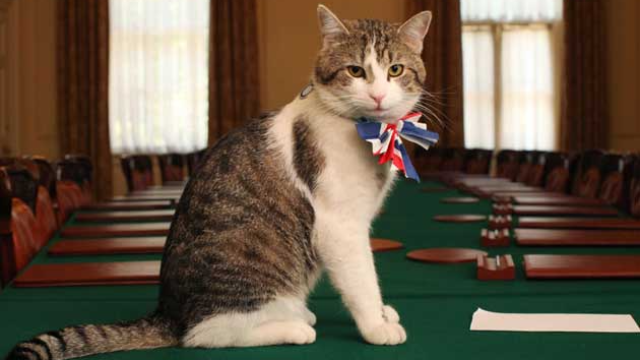 英国第一猫拉里在梅姨发表辞职演说前被强抱进首相府内