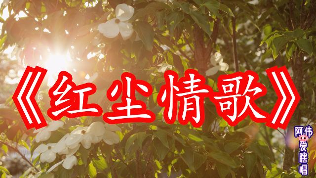 网络最火的歌红尘情歌旋律似流水绵延不绝好听到心碎