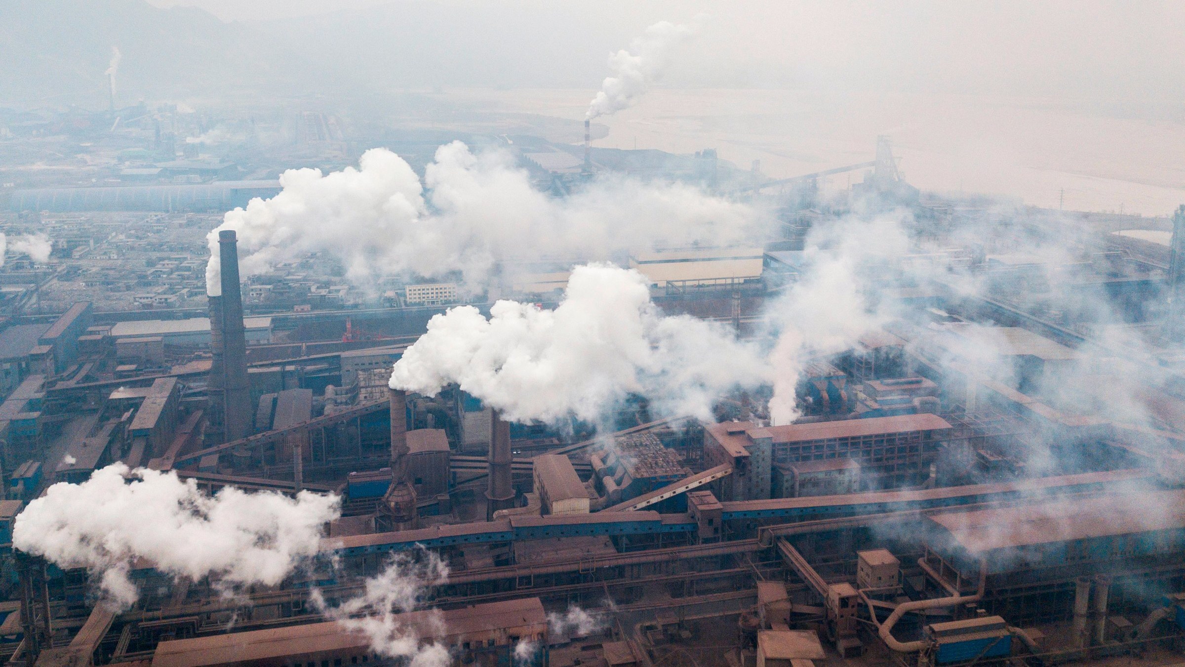 《连线》:实锤来了,空气污染是痴呆症的元凶