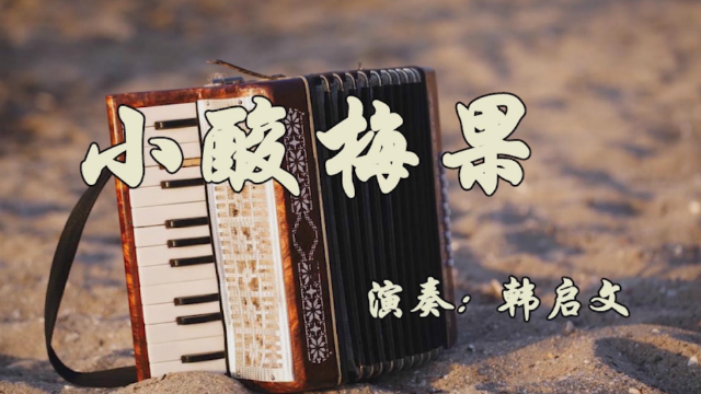 手风琴演奏白俄罗斯民歌《小酸梅果》欢快的乐曲
