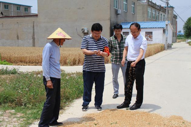 安徽省阜阳市颍东区人大常委会主任王雷到插花镇督导夏收夏种和秸秆