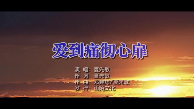 夏先敏爱到痛彻心扉mtv