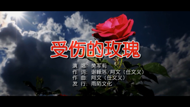 樊军莉受伤的玫瑰mtv