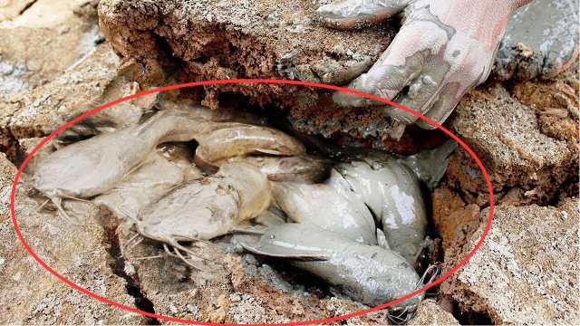在42℃的沙漠没水也能存活4年,结局就悲催了