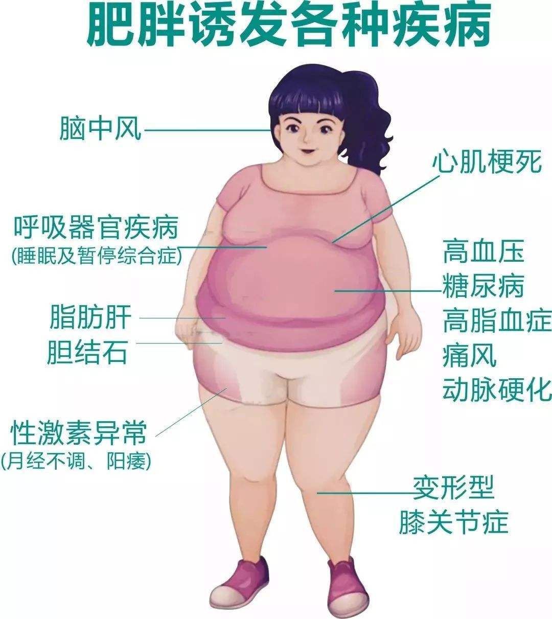 肥胖对身体有害的照片图片