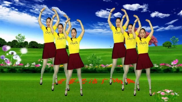 网络热门广场舞花蝴蝶动感16步简单好看易学