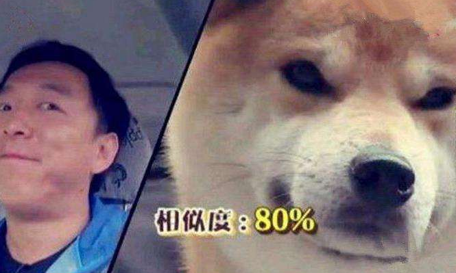 至于黄渤撞脸秋田犬,孙红雷撞脸牛头梗就一笔带过吧