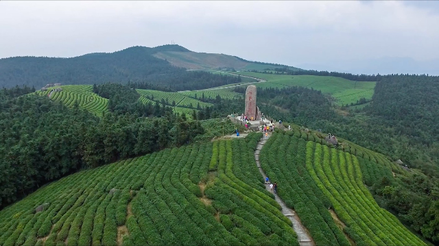 世界那麼大我想去寧波福泉山感受茶文化