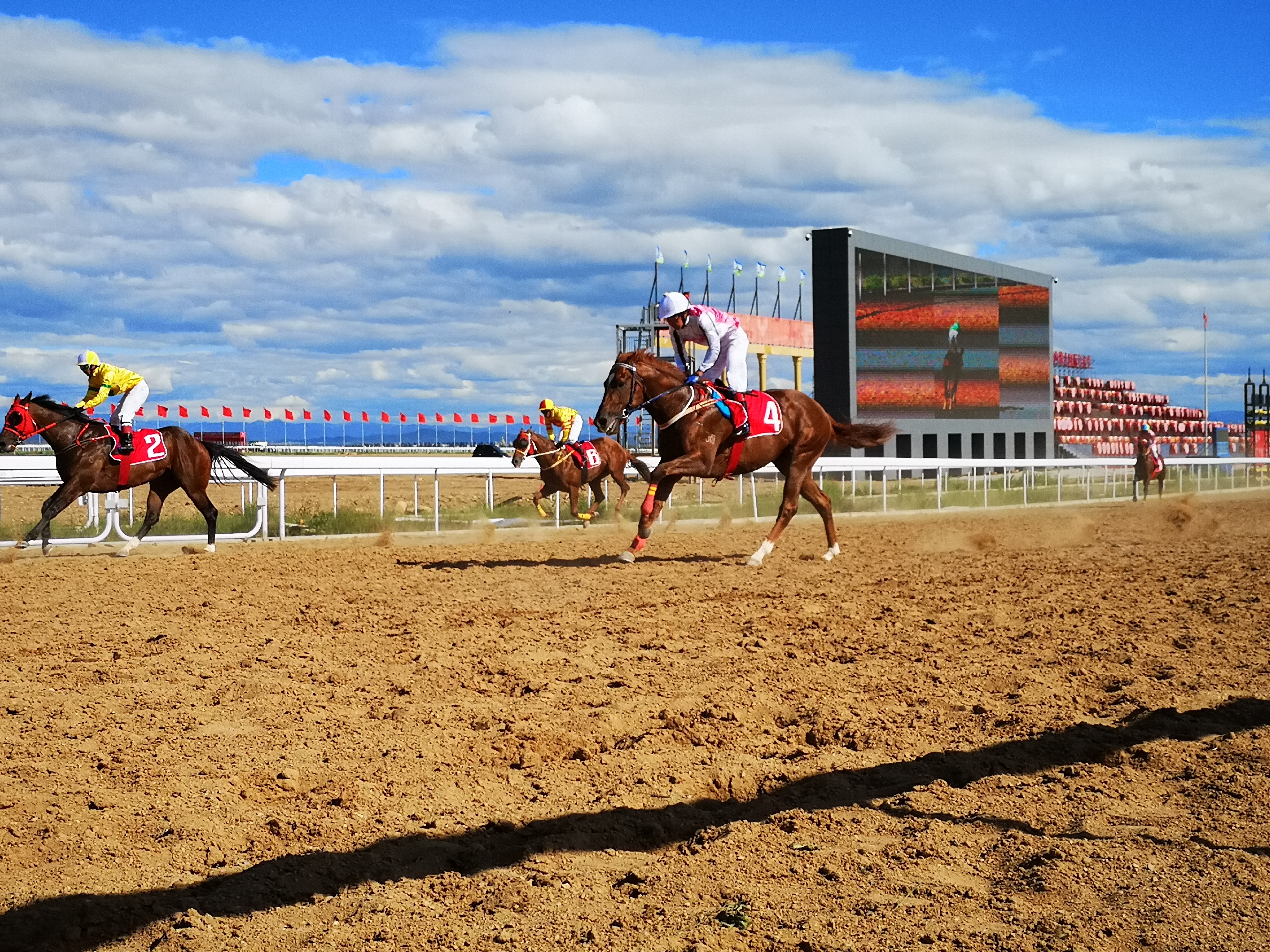 内蒙古大力传承发展马文化,定期举办马文化节庆活动,积极承办中国马术