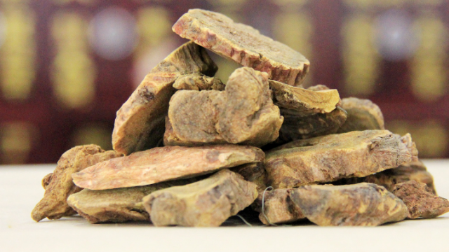 中药大黄的传说故事橘香园学堂