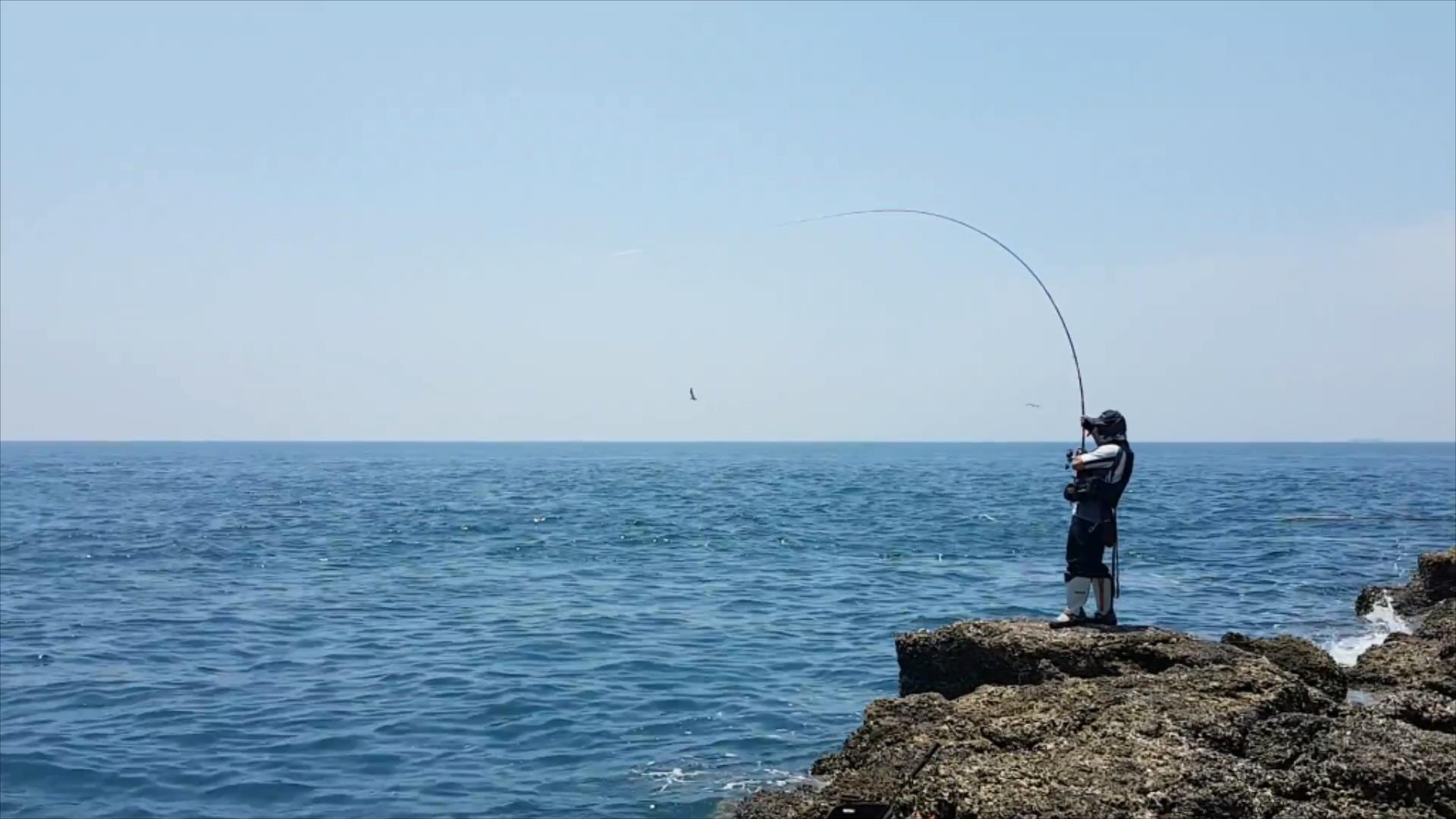 钓鱼人矶钓中烟仔鱼,竿子大凹过钓瘾!_凤凰网视频_凤凰网