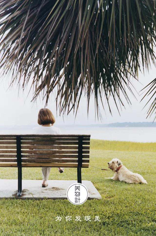 一个人最好的生活状态有事做有人爱有所期待