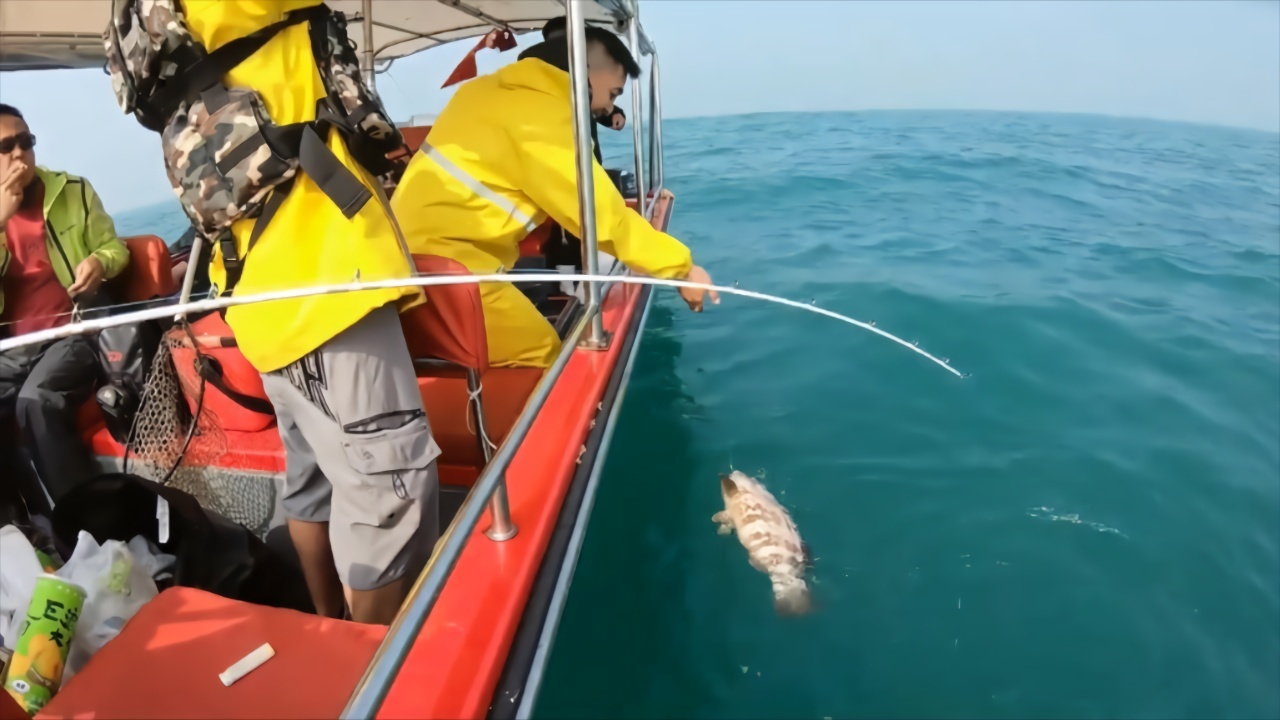 外海钓鱼黑鲷牙点大石斑渔获真漂亮