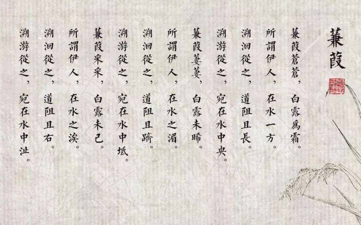 129、蒹葭之思伊人《我吟诗经》 ——十一、国风·秦风 __凤凰网