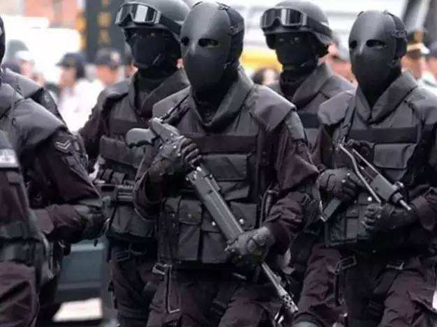 伊朗三名特种兵被暗杀,司令发出报复命令,出兵邻国全面反击