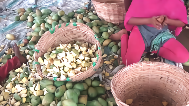 切芒果就服印度姑娘每天切几千斤这是高手毫发无伤