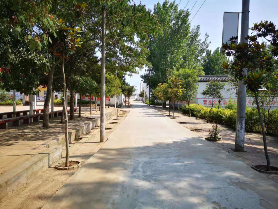 桐柏毛集镇抓实双貌改善助力脱贫攻坚