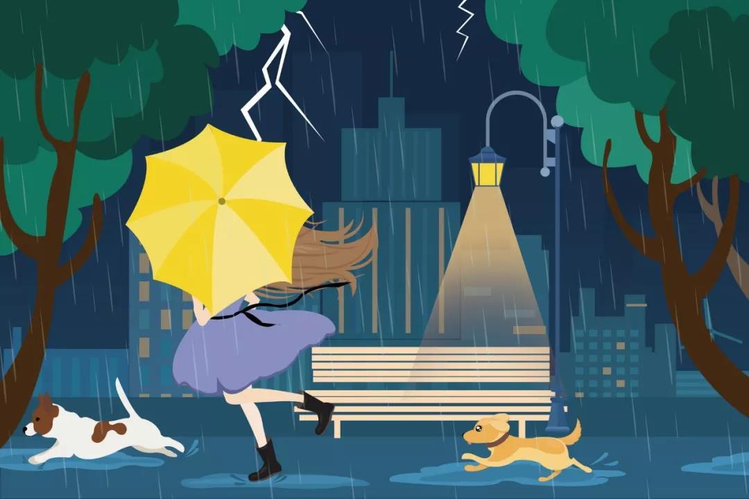 暴雨之后