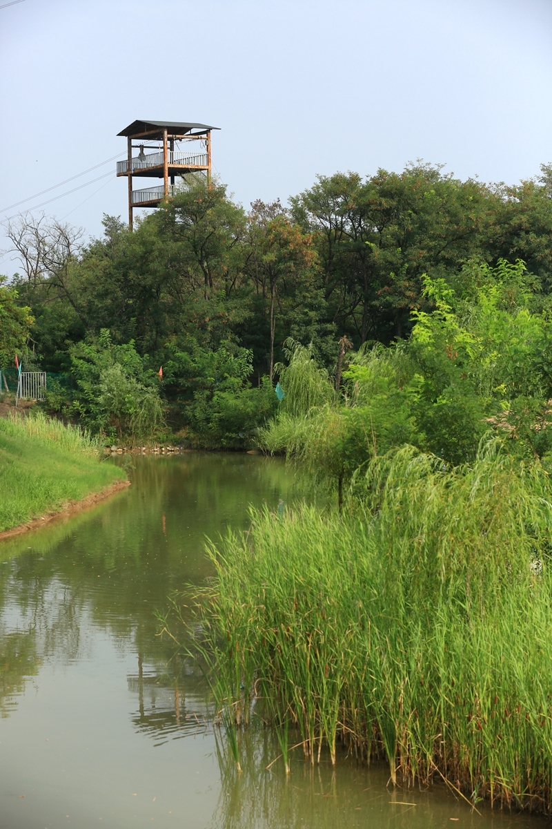 郑州雁鸣湖蟹岛犹如水上江南陪孩子度过浪漫的亲子时光