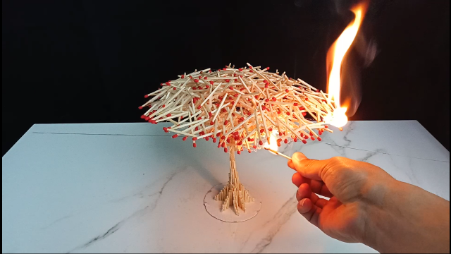 近1000根火柴做成的小树艺术造型,一把火烧掉是什么效果