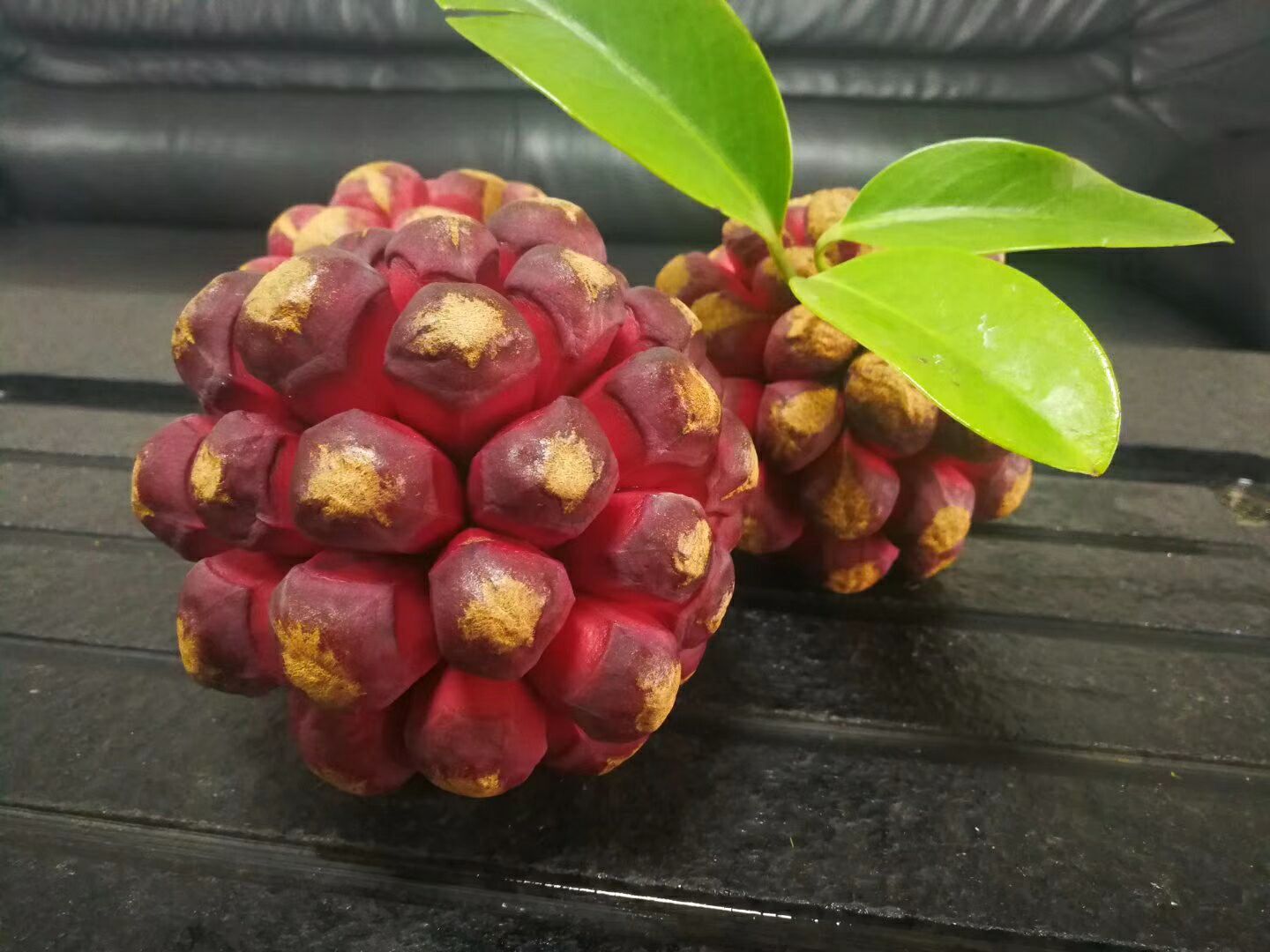 农村野果黑老虎不是老虎牛卵坨不是牛宝八月瓜还会开口笑