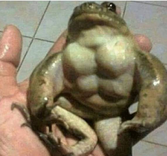 青蛙都有腹肌,而我只有一坨肥肉