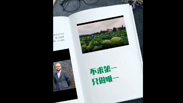 青廷诗句:不求第一,只做唯一