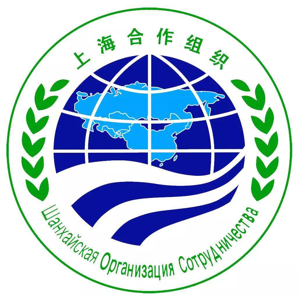 上合组织工商论坛艺术家——姚霁月__凤凰网