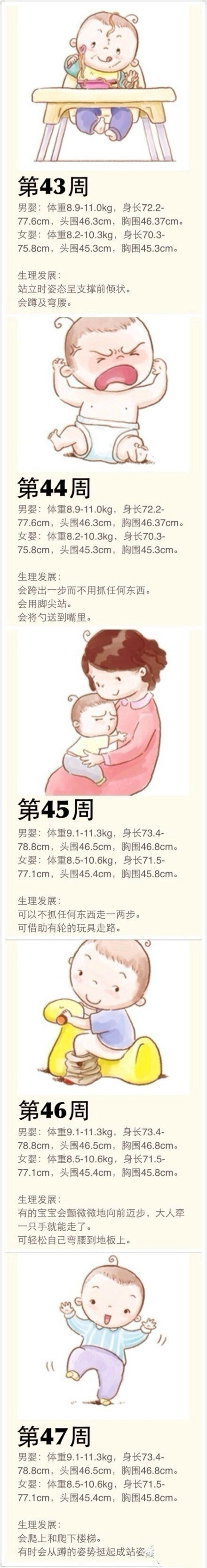 宝宝出生第1周 第52周身高 体重及生理发展图示 凤凰网