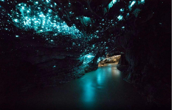 新西兰萤火虫洞哪个好?南岛北岛别有洞天