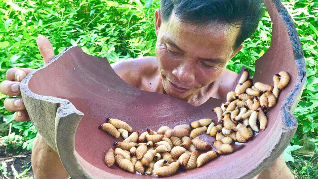 野外生存技能高蛋白含量的椰子虫大叔用清水煮煮就开吃