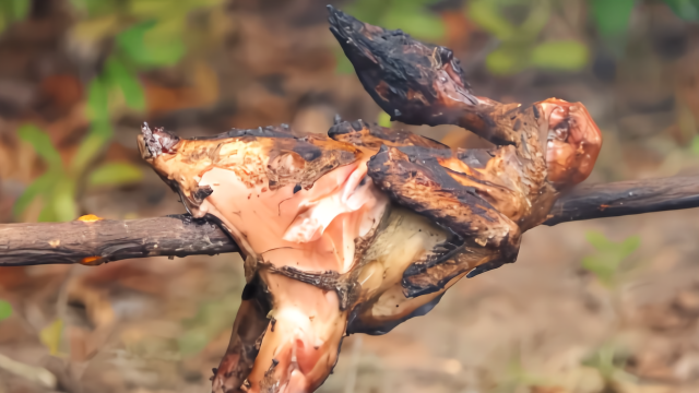 野外柴火烤全鸡绝对好吃看得我口水直流就是有点糊了