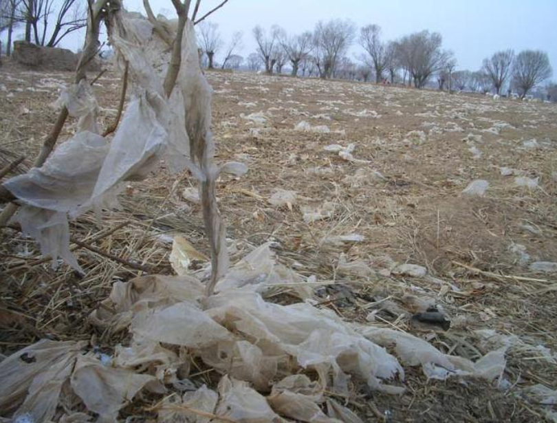 生态地膜--地膜污染治理的革命性创新__凤凰网