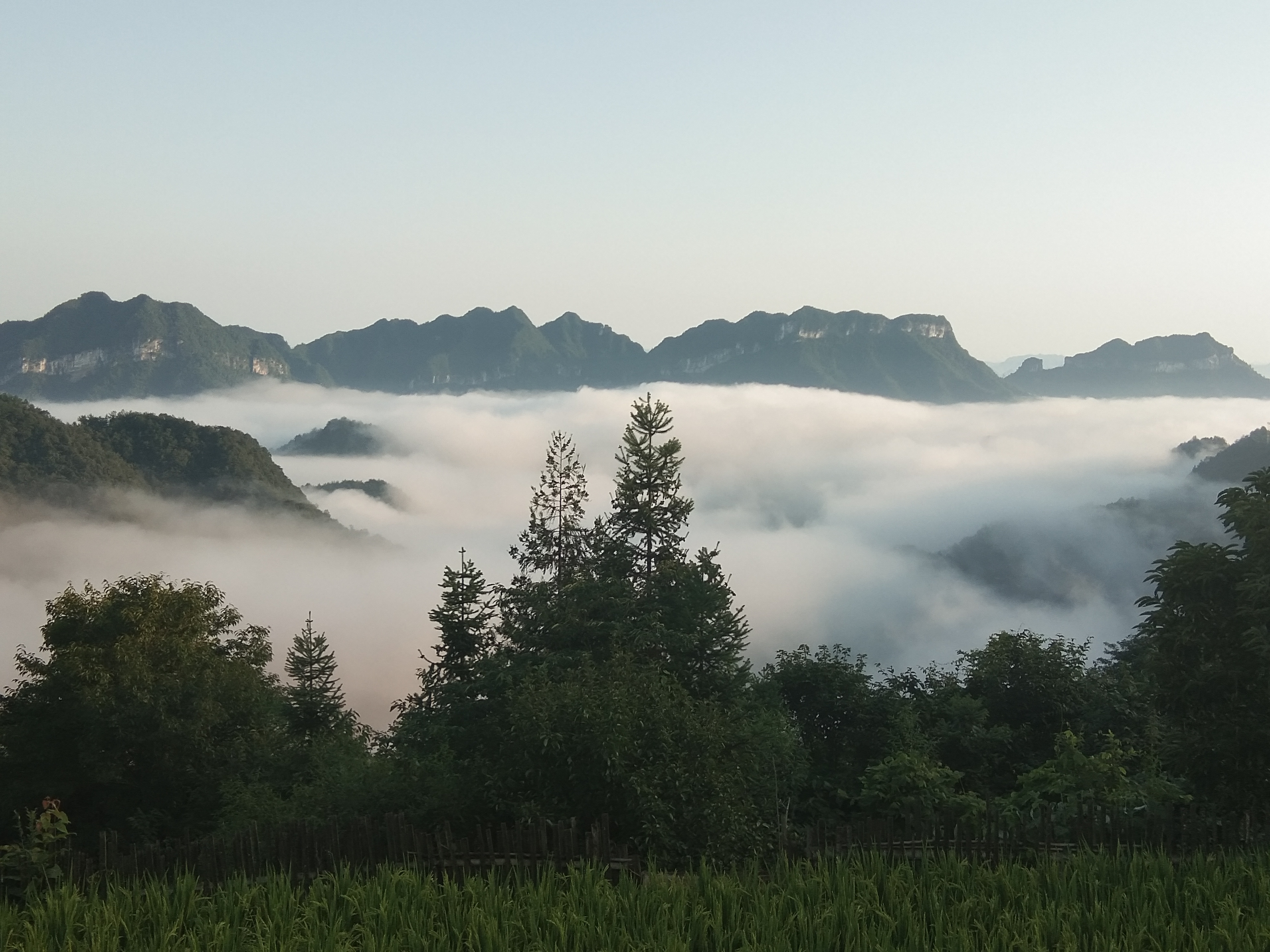 张家界旅游景点新推荐：雨后云上田园云海涌动