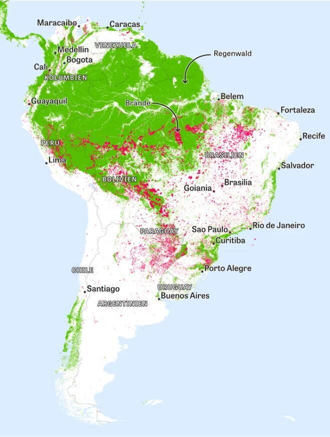 亚马逊原始森林地图图片