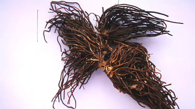 中药威灵仙草的传说故事橘香园学堂