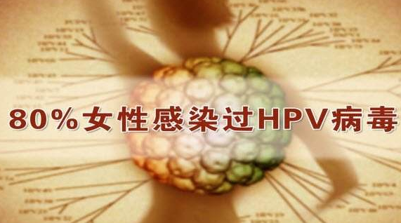 在我國婦女hpv感染人群中,hpv58,52,33等型別普遍具有較高的陽性率