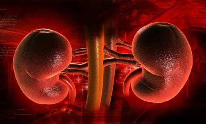 肾阴虚、肾阳虚、肾气虚和肾精虚有什么联系?__凤凰网
