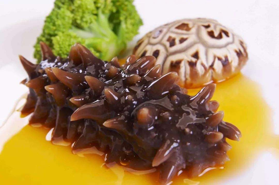 爽滑q弹,韧性十足滋补上品-海参__凤凰网