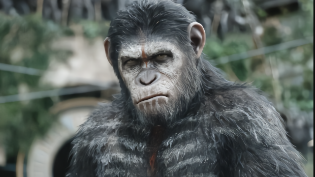 6分钟告诉你《猩球崛起》里凯撒的童年遭遇